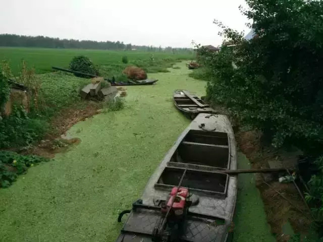 电子娱乐城