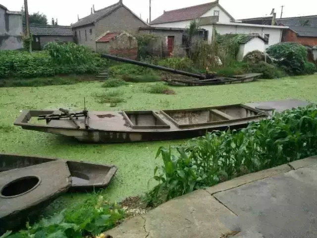电子娱乐城